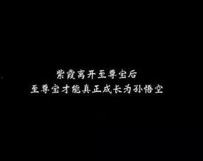 娱乐吃瓜酱伤感语录,揭开娱乐圈背后的泪与痛