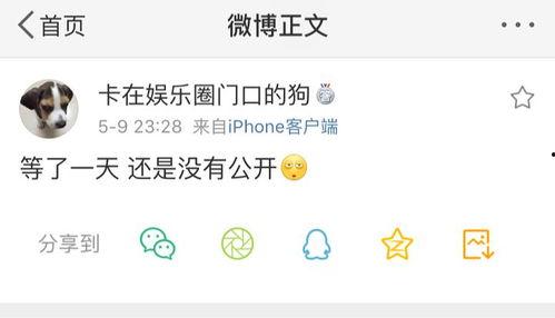 爆料吃瓜bgm,独家爆料，吃瓜群众bgm背后的故事