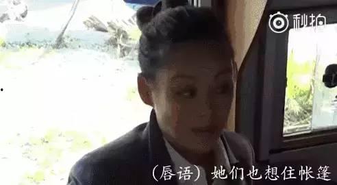 娱乐圈互吃瓜